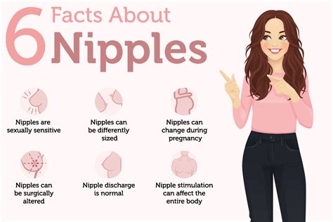 pointy nipple|Nipple Facts: 24 Things to Know About Types, Sizes, and Bumps。